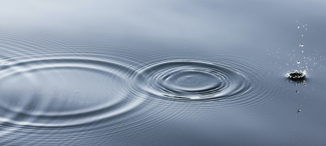 IVÉO et AquaAction, ensemble au bénéfice de la gestion durable de l'eau