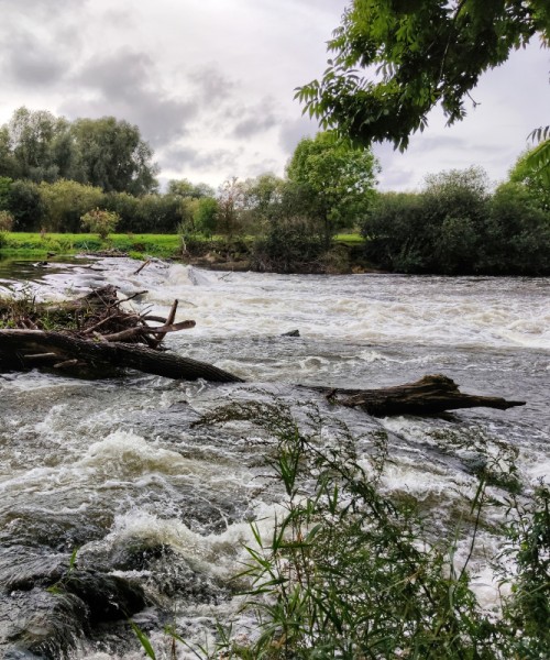 Suivi du niveau des cours d'eau