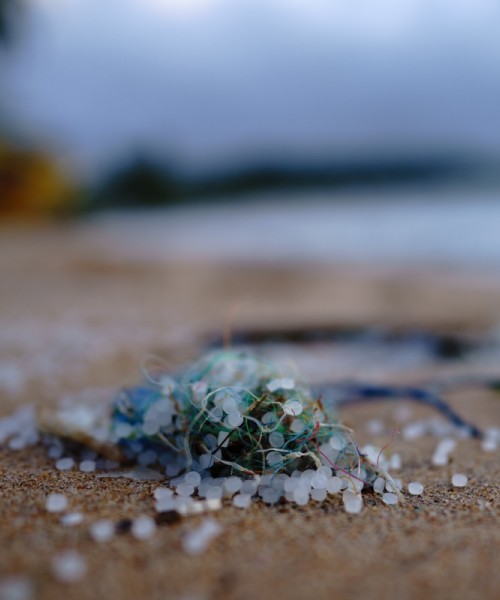 Nettoyage de micro-plastiques sur le sol