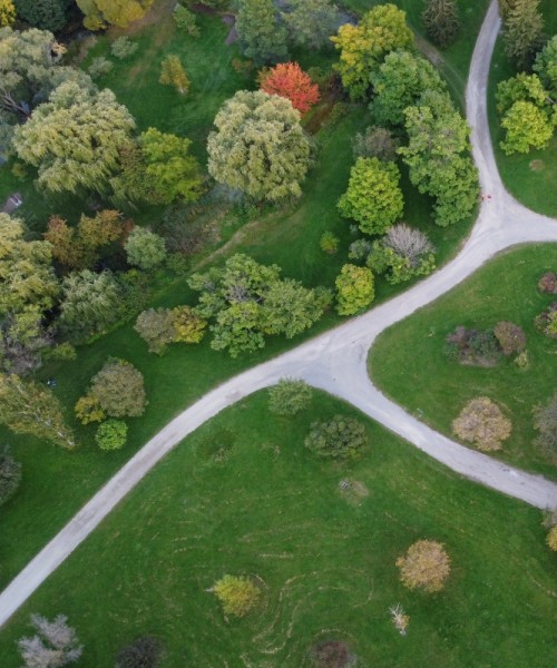 Géomatique appliquée à la foresterie urbaine
